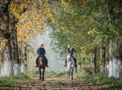 - PASSEGGIATE A CAVALLO