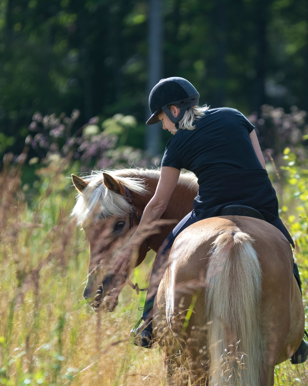 - PASSEGGIATE A CAVALLO