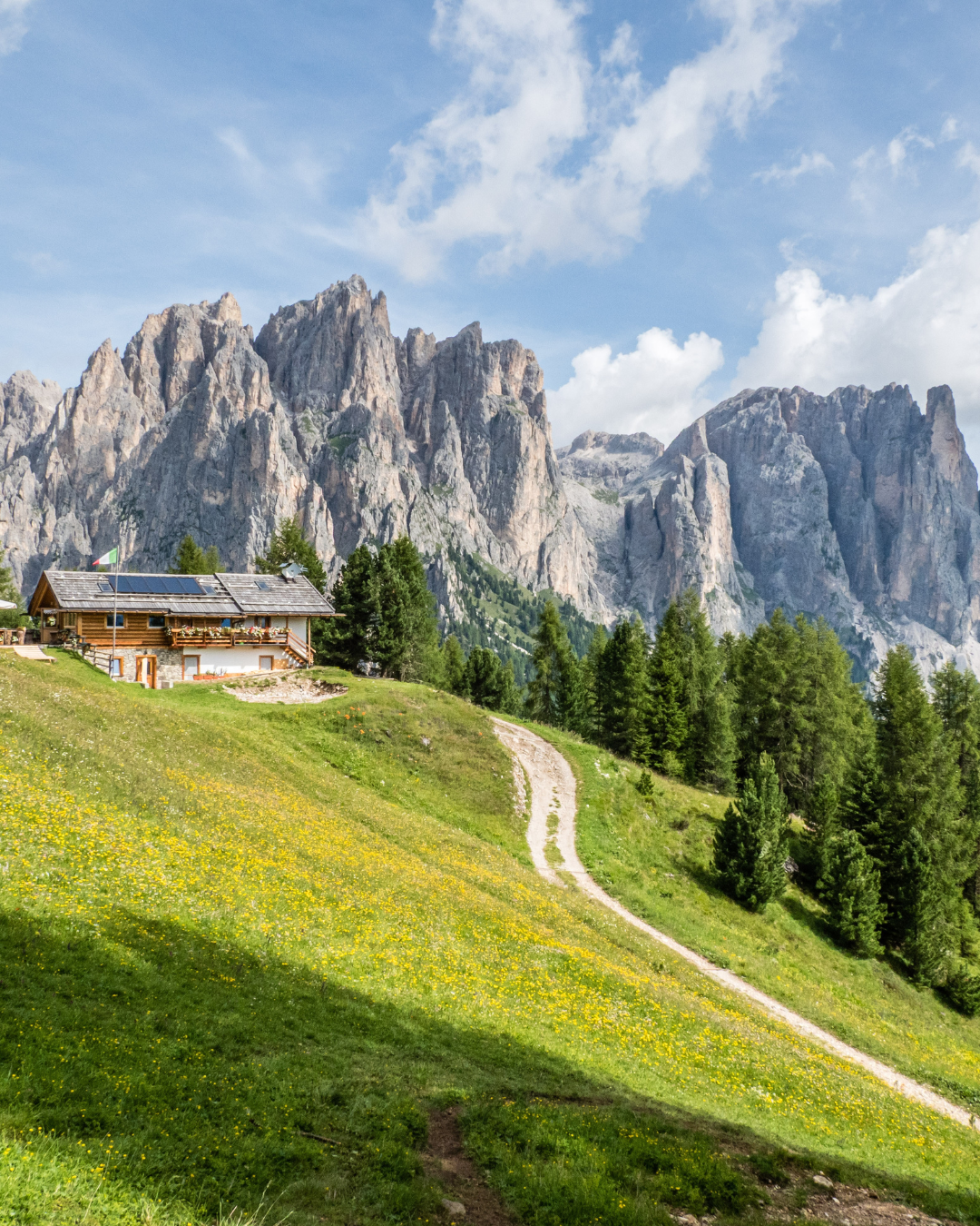 - NATURE SCENIC EXPERIENCE